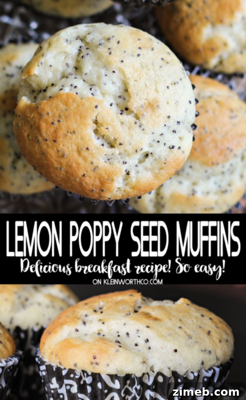 Sunshine Lemon Poppy Seed Muffins 5 Freshly baked Lemon Poppy Seed Muffins ready to eat