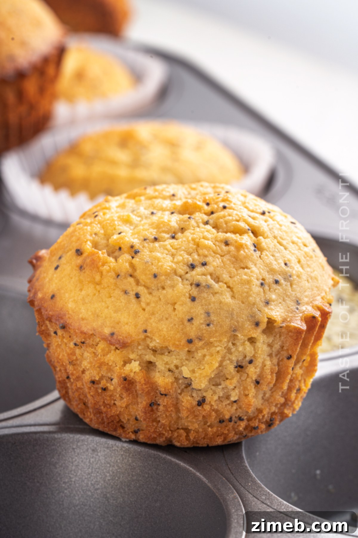 Sunshine Lemon Poppy Seed Muffins 6 The best Lemon Poppy Seed Muffins you'll ever bake