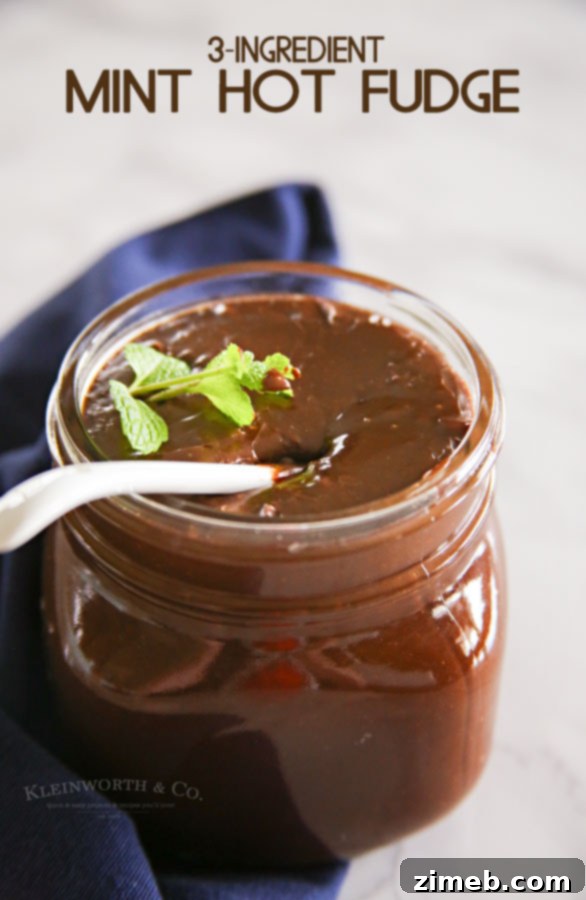 Quick Minty Hot Fudge 10 Family enjoying Mint Hot Fudge on desserts