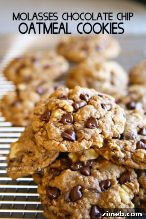 Chewy Molasses Chocolate Chip Oat Cookies 10 Molasses Chocolate Chip Oatmeal Cookies