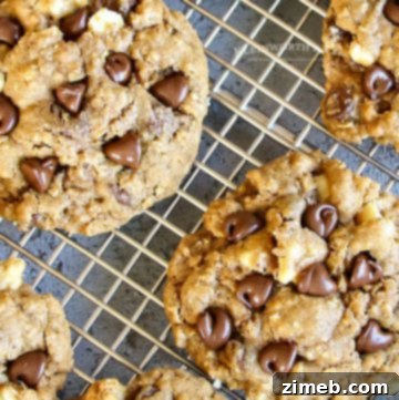 Chewy Molasses Chocolate Chip Oat Cookies 11 oatmeal cookie recipe