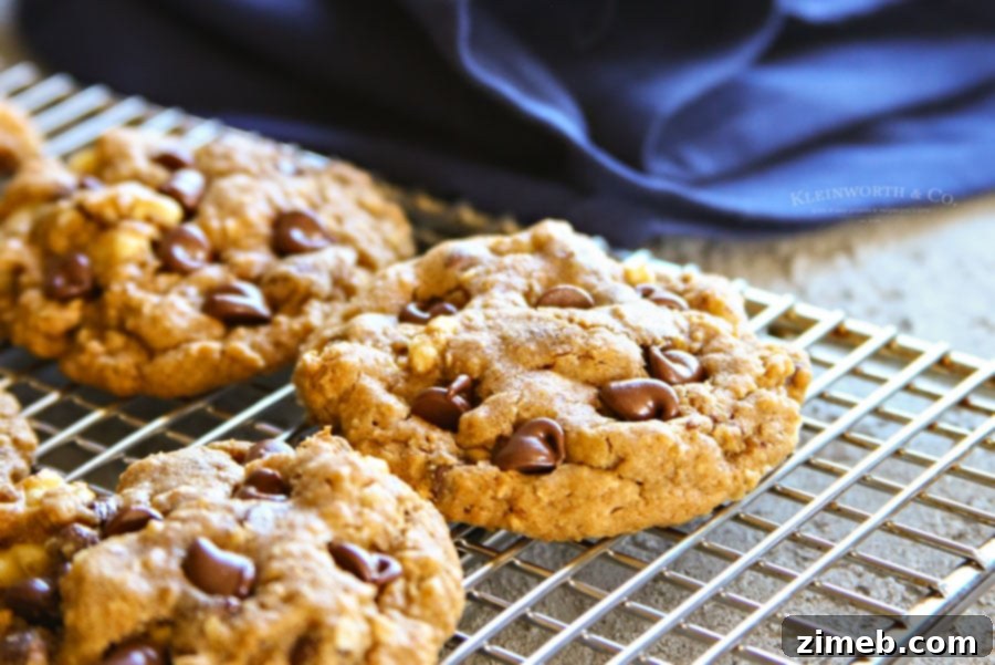 Chewy Molasses Chocolate Chip Oat Cookies 2 oatmeal cookies with a perfect soft and chewy texture