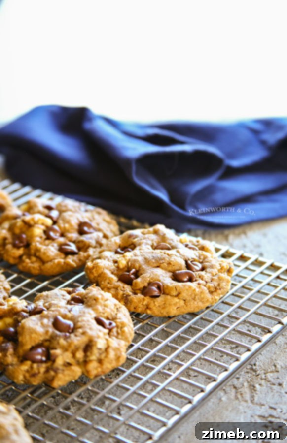 Chewy Molasses Chocolate Chip Oat Cookies 5 chocolate oatmeal cookies - a comforting homemade treat