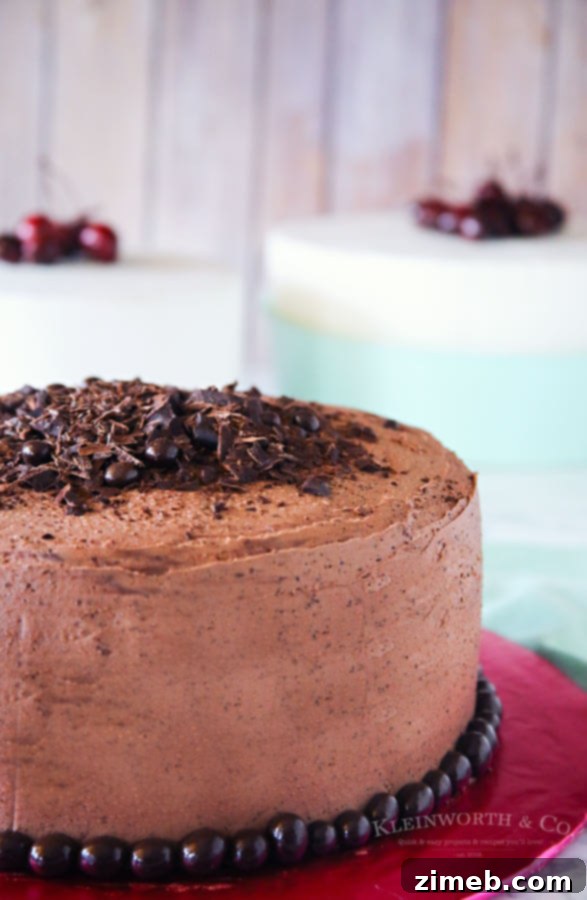 Decadent Oreo New York Cheesecake 5 Espresso Chocolate Cake - A rich and indulgent cake recipe.