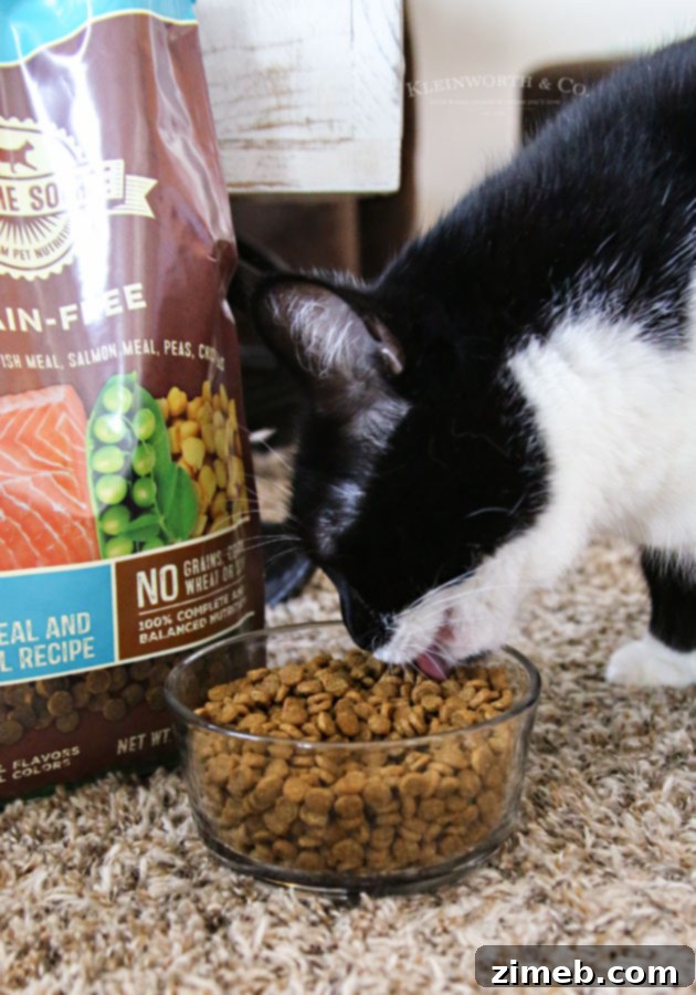 Revitalize Your Cat: The 10-Day Detox Plan 4 best cat food for detox