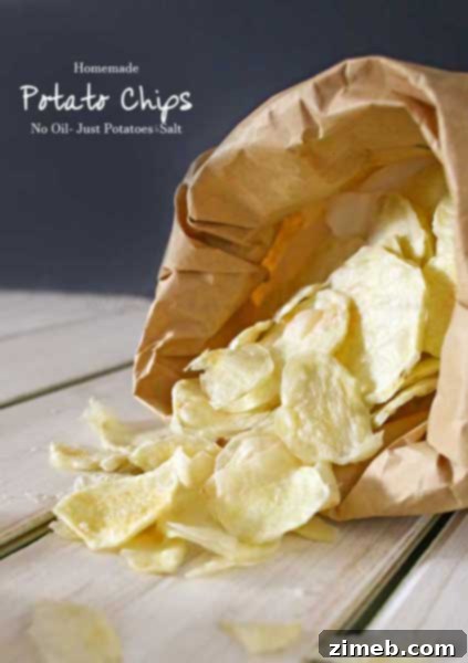 Ultimate Chicken Parm Melt 10 Homemade Potato Chips