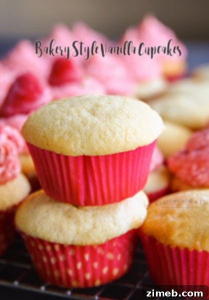 The Ultimate Brownie & Cookie Dough Freak Cake 9 Perfectly baked Best Bakery-Style Vanilla Cupcakes with creamy frosting