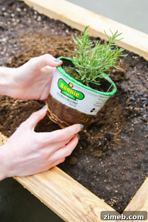 Build a Wheeled Garden Box 13 Planting Bonnie Plants in Your Portable Planter Box