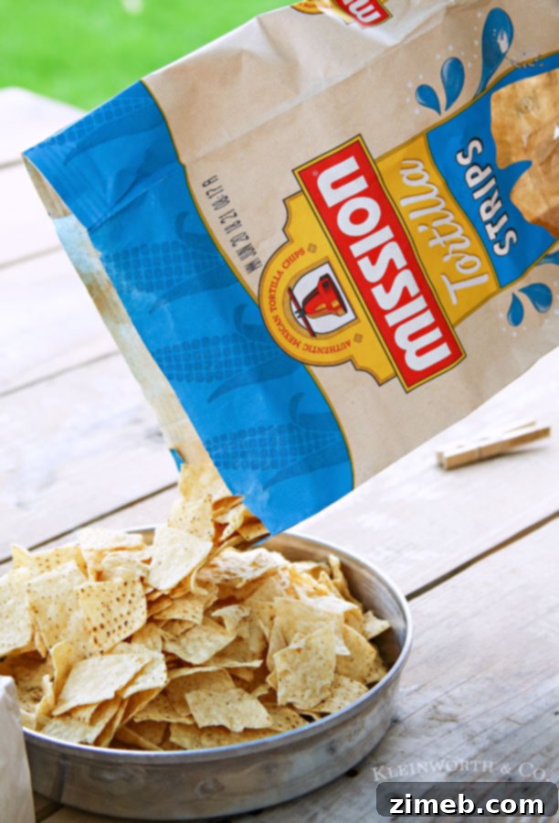 Best chips for queso dip - Mission Strips