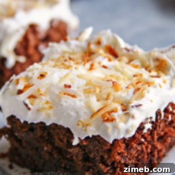 Velvet Chocolate Coconut Infusion Cake 11 chocolate coconut cake with whipped cream