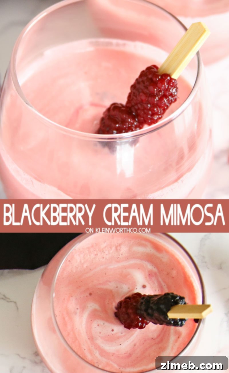 Refreshing Blackberry Cream Mimosa for Summer