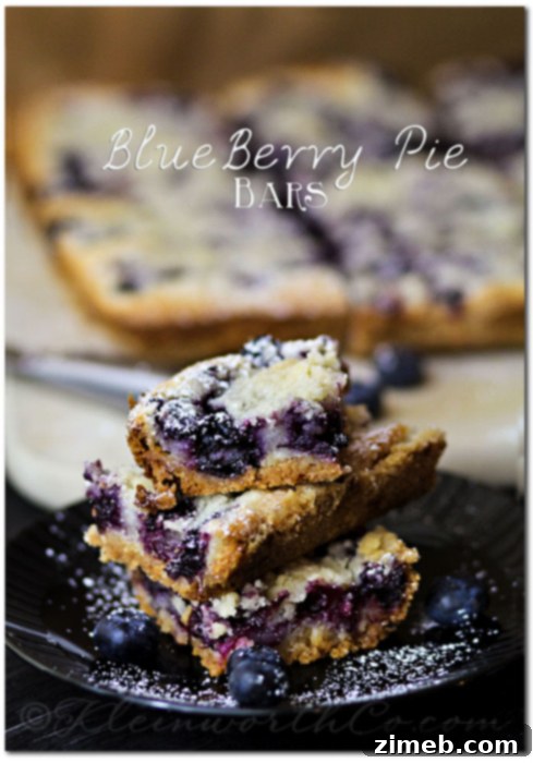 Blueberry Pie Bars