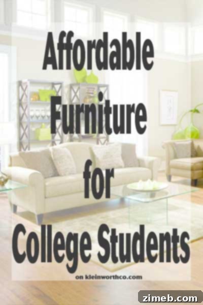 Dorm Decor on a Dime 6 Affordable Furniture for College Students with modern styling