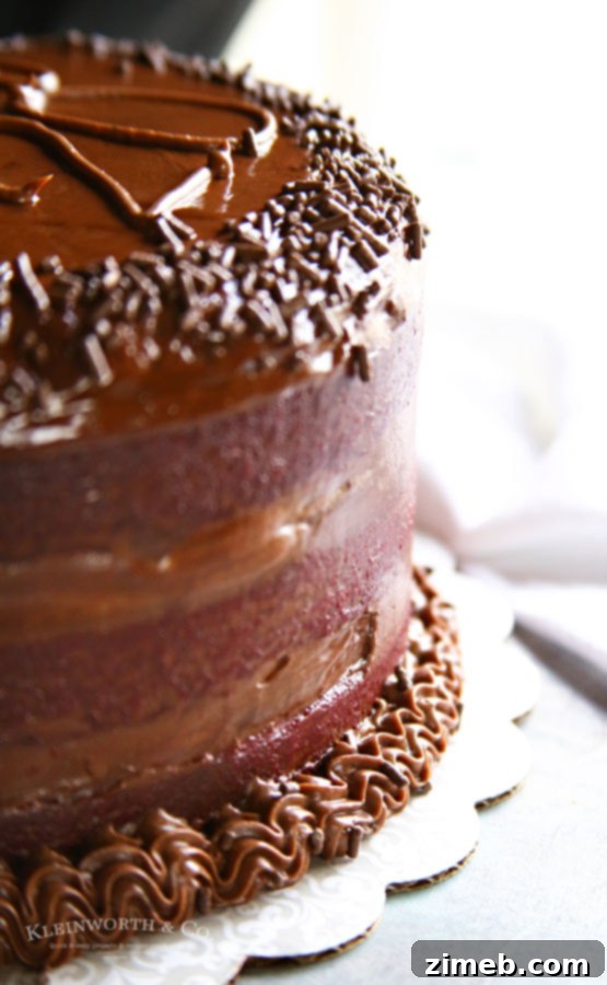 Velvety Cocoa Cream Cheese Delight 3 How to make Chocolate Cream Cheese Frosting step-by-step