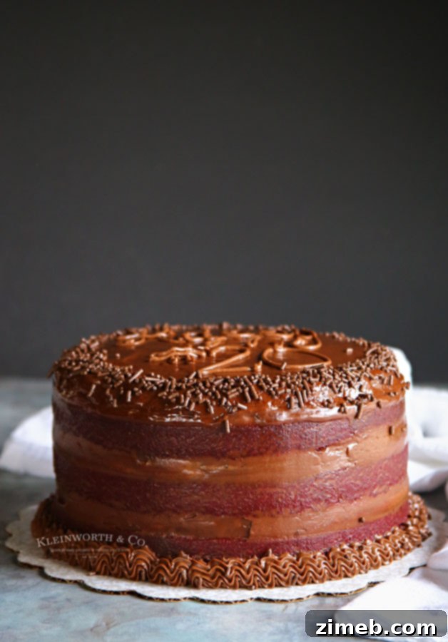 Velvety Cocoa Cream Cheese Delight 5 Chocolate Cream Cheese Frosting on a birthday cake