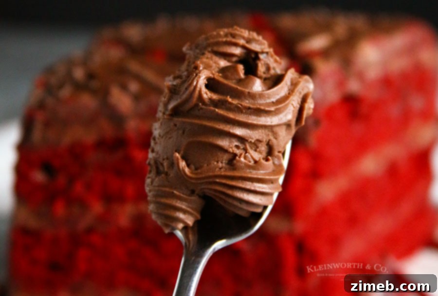 Velvety Cocoa Cream Cheese Delight 6 Chocolate Cream Cheese Frosting close-up
