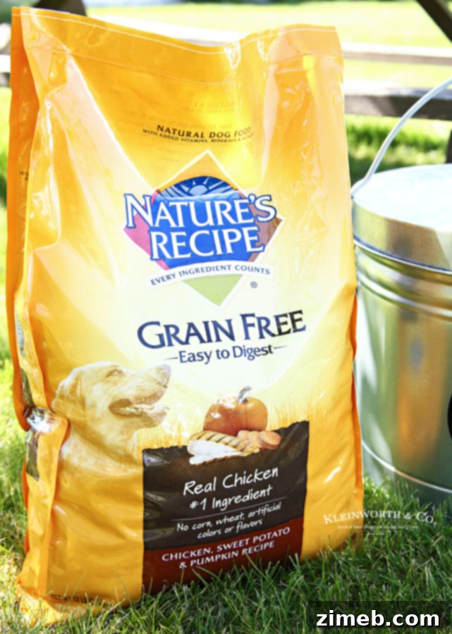Secure Steel Dog Food Vault 4 Best Grain-Free Dog Food and Storage Solutions