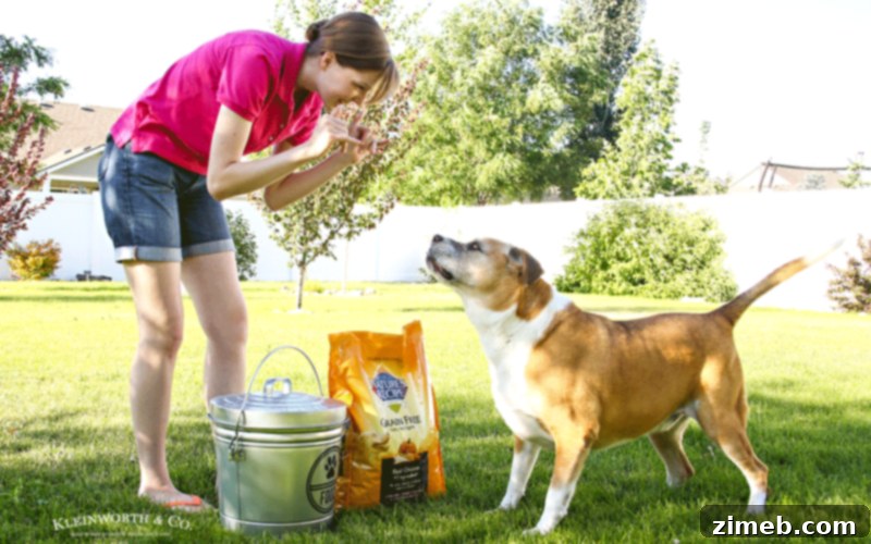 Secure Steel Dog Food Vault 5 Fresh Dog Food Storage Solution