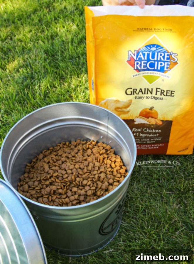 Secure Steel Dog Food Vault 9 Tips on How to Store Dog Food Properly