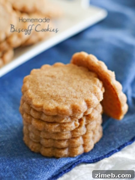 Simple Snickerdoodle Perfection 15 Homemade Biscoff Cookies Recipe