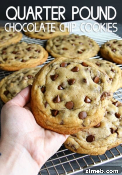 Simple Snickerdoodle Perfection 17 Quarter Pound Chocolate Chip Cookies Recipe