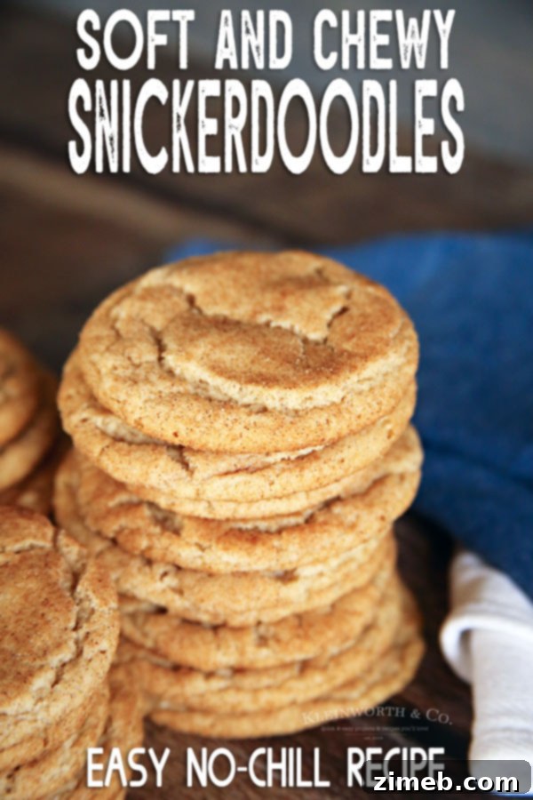 Simple Snickerdoodle Perfection 18 Delicious Homemade Snickerdoodle Cookies