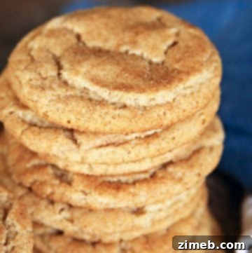 Simple Snickerdoodle Perfection 19 Best Snickerdoodle Cookie Recipe