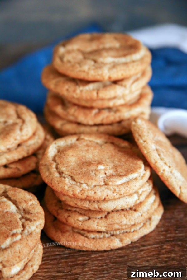 Simple Snickerdoodle Perfection 3 30 Minute No-Chill Snickerdoodles
