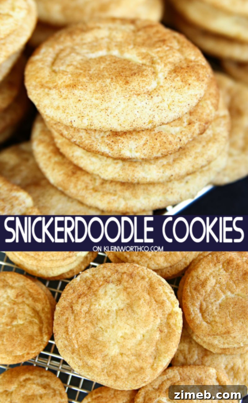 Simple Snickerdoodle Perfection 21 Simple Snickerdoodle Cookie Recipe