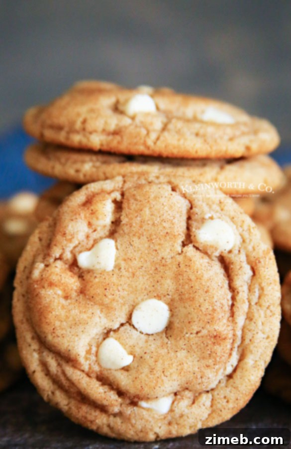 Simple Snickerdoodle Perfection 6 White Chocolate Chip Snickerdoodles