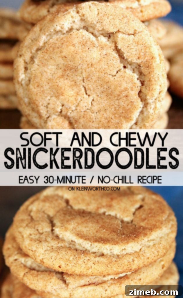 Simple Snickerdoodle Perfection 7 No-Chill Snickerdoodle Cookie Recipe for Quick Baking