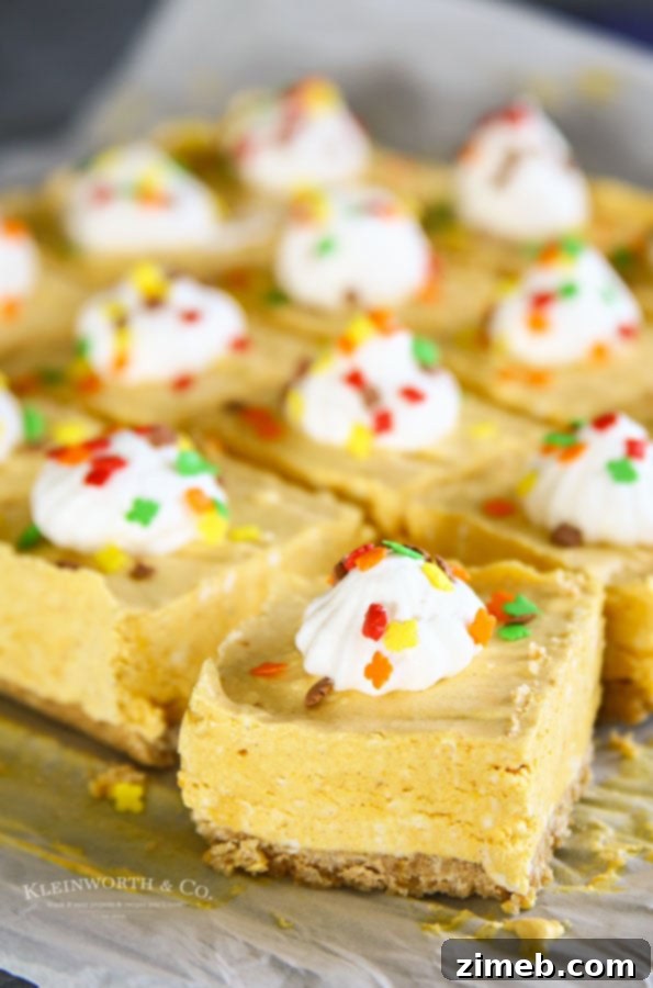 Spiced No-Bake Pumpkin Cheesecake Bars 6 Fall Recipe - No-Bake Pumpkin Cheesecake Bars