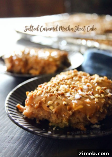 No-Fuss Pumpkin Cheesecake Perfection 10 Salted Caramel Mocha Sheet Cake