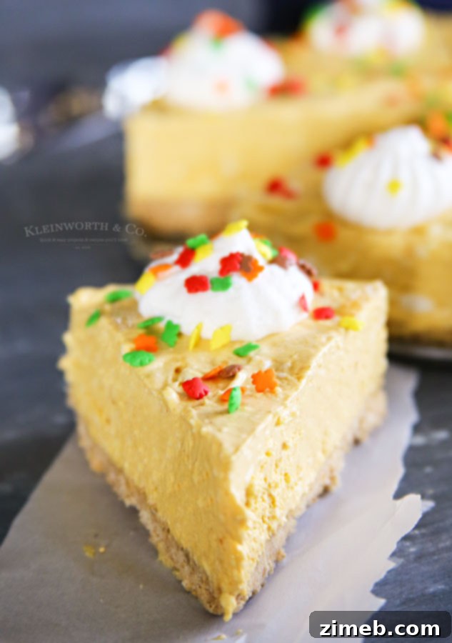 No-Fuss Pumpkin Cheesecake Perfection 6 How to make Easy No-Bake Pumpkin Cheesecake