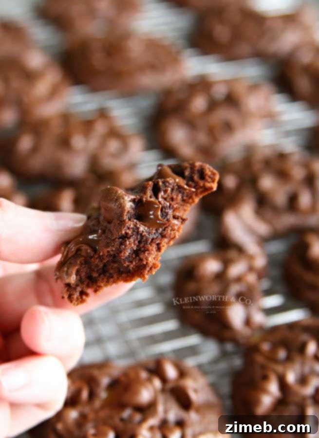 Twix Candy Bar Chocolate Cake Cookies 5 Double Chocolate Cake Mix Twix Cookies Recipe