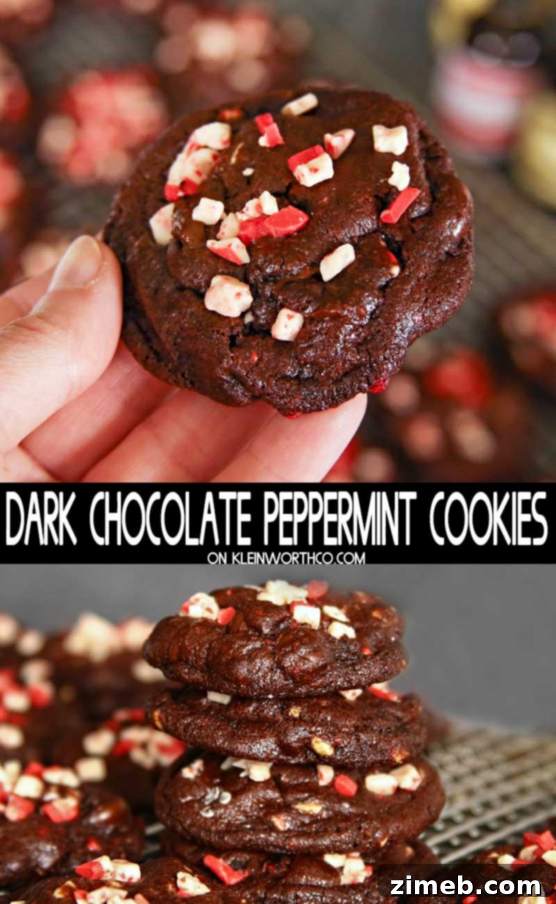 Dark Chocolate Peppermint Cookies - A Festive Holiday Treat