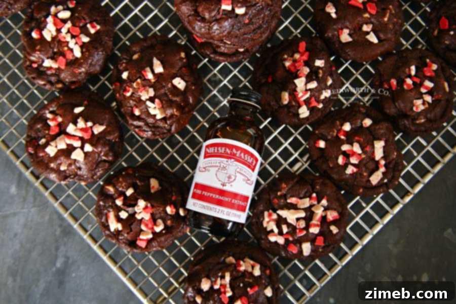 Recipe for Dark Chocolate Peppermint Cookies - Delicious Holiday Baking