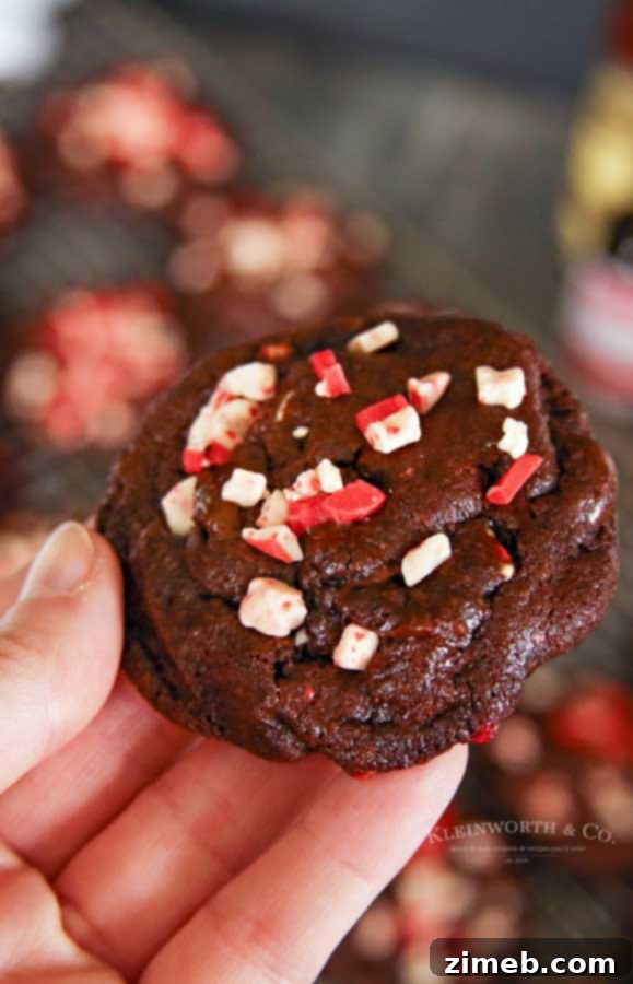 Christmas Cookies - Dark Chocolate Peppermint Cookies are a festive delight.