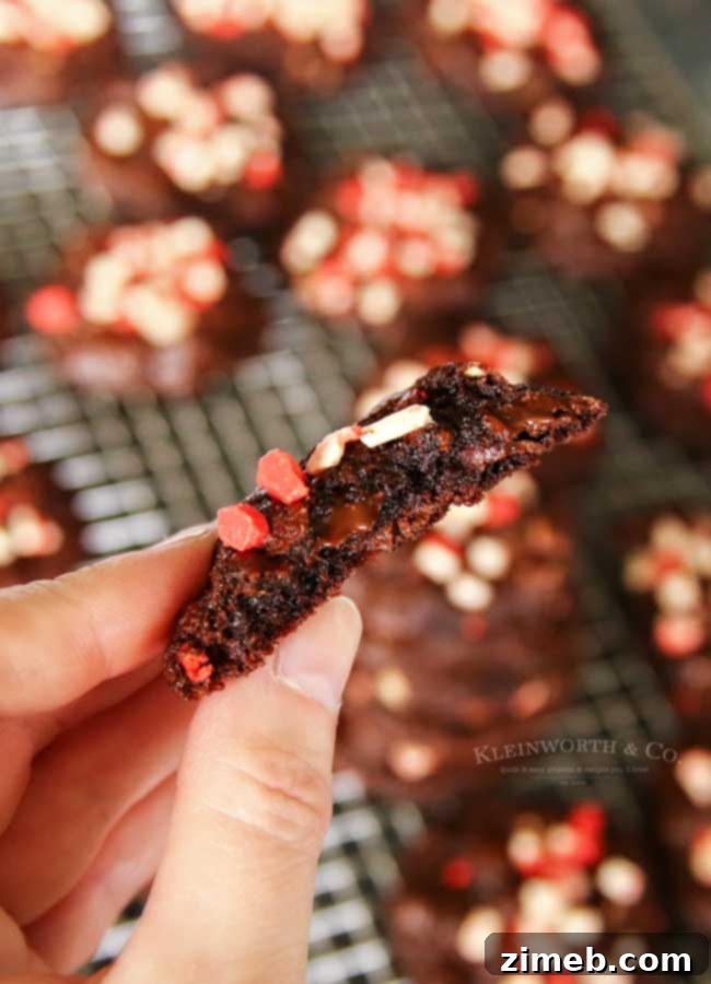 Holiday Cookies - Dark Chocolate Peppermint Cookies are perfect for gifting.