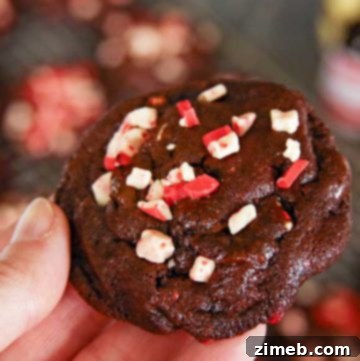 Christmas Cookies - Dark Chocolate Peppermint Cookies