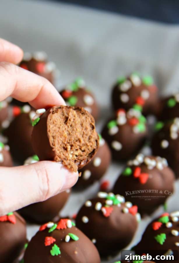Holiday Nutella Bites Recipe - Easy No-Bake Desserts
