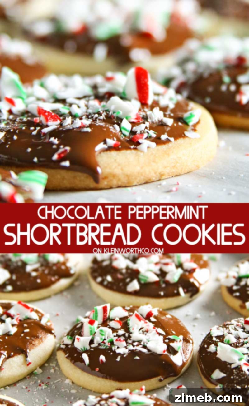 Decadent Chocolate Peppermint Shortbread Cookies topped with frosting and candy canes