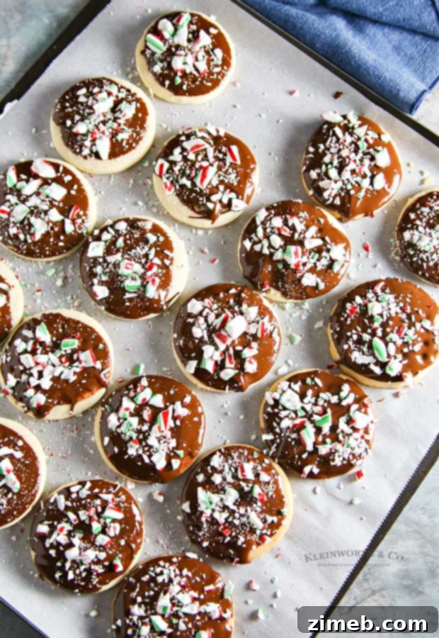 Easy Chocolate Peppermint Shortbread Cookies recipe for Christmas