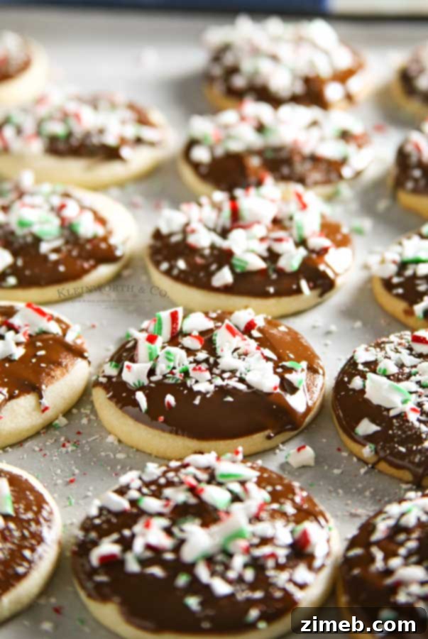 Frosted shortbread cookies with chocolate and peppermint for holidays