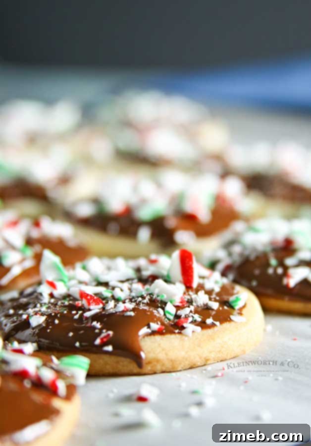Candy cane shortbread cookies with chocolate frosting