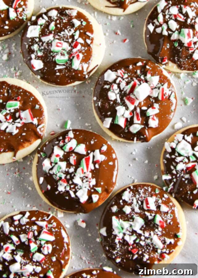 Holiday shortbread cookies with chocolate and peppermint