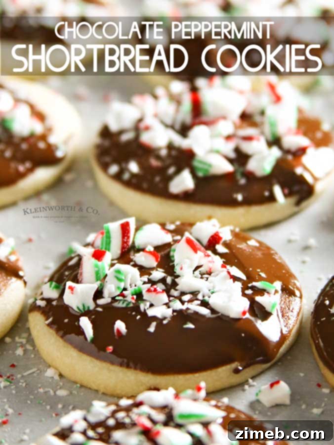 Chocolate Peppermint Shortbread Cookies: perfect holiday treat