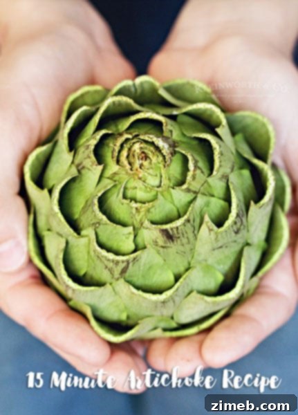 15 Minute Artichoke Recipe for Instant Pot