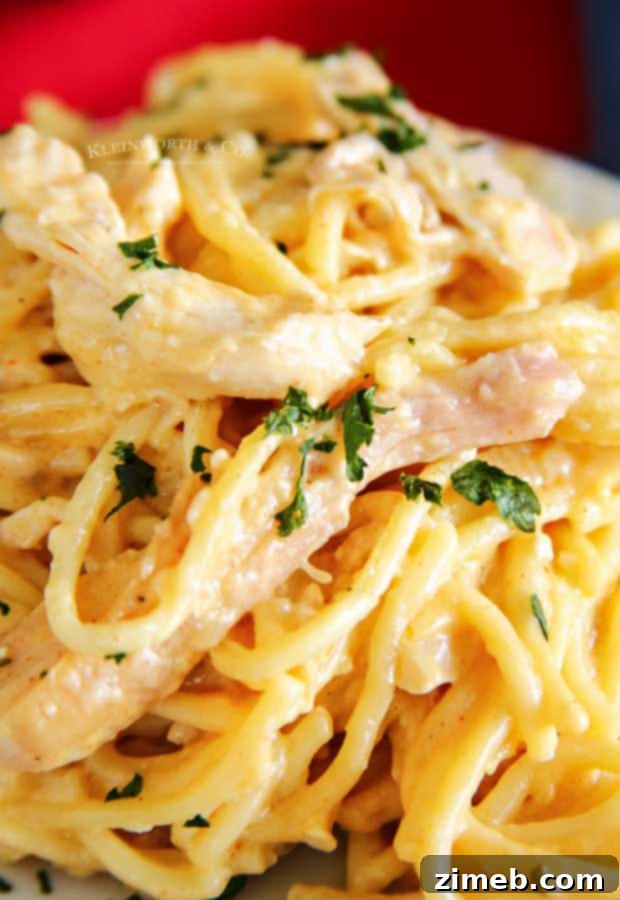 Cheesy Chicken Spaghetti meal, a family favorite.