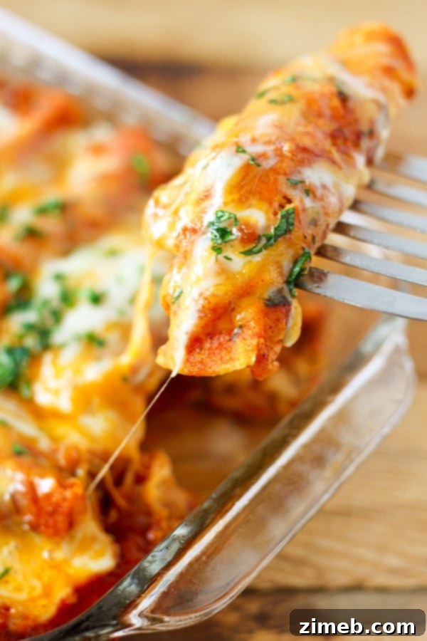 Instant Pot Chicken Enchiladas, a flavorful Mexican-inspired dish.